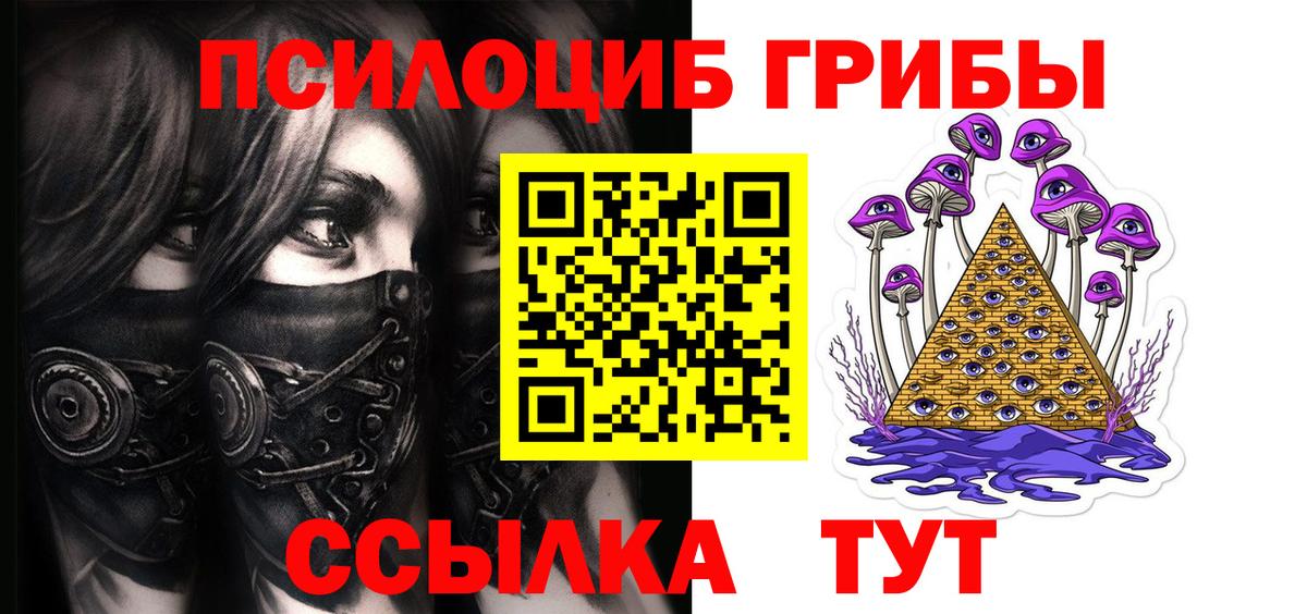 Псилоцибиновые грибы Cubensis  Вход с VPN  Чернушка 